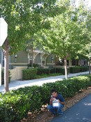 Img-10