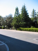 Img-060705-17