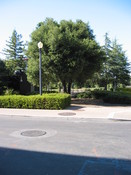 Img-060705-17