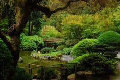 A_1193664727_garden