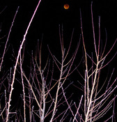 Red_moon