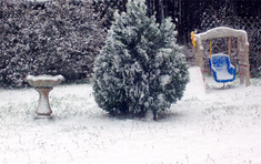 Snowday_3_2008jpg