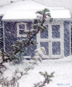 Gardenshed
