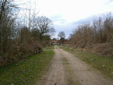 Pic00308