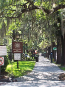 Savannah