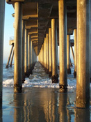 Pierpolls