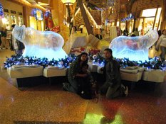 Img_0517