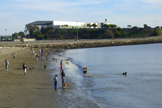 Beach-perspective
