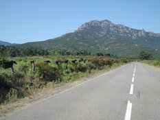 P1020012