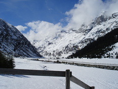 Dsc00517