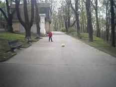 Copy_andrew_ball